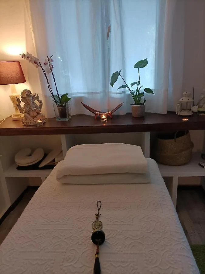 Tottam Art & Healthy Garden Villa Malaga Spain