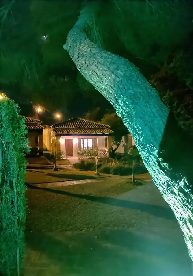 Tottam Art & Healthy Garden Villa Malaga