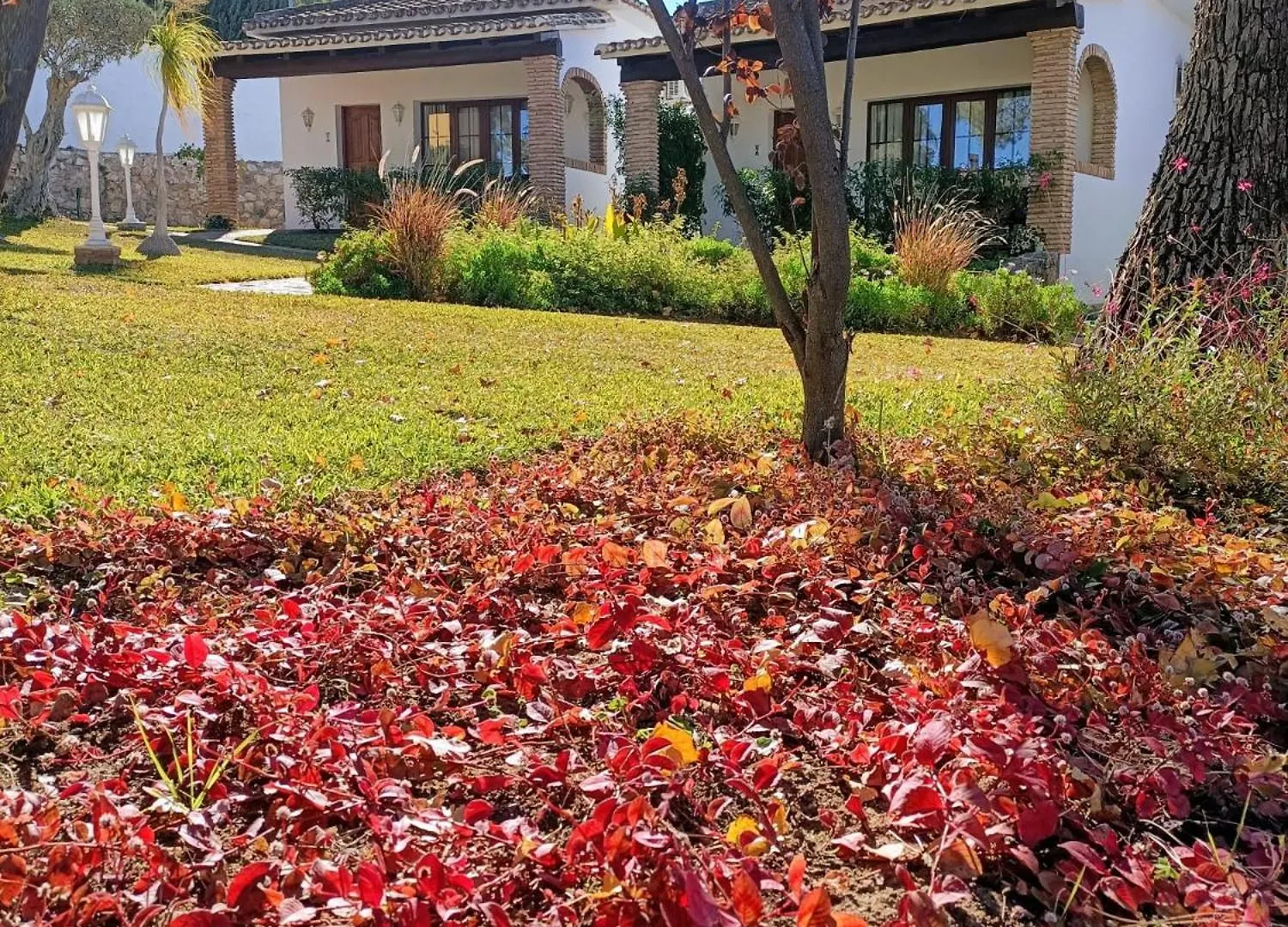 Tottam Art & Healthy Garden Villa Malaga 0*,