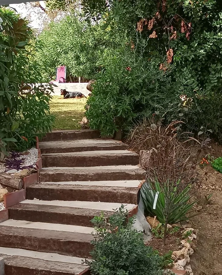 Tottam Art & Healthy Garden Villa Malaga Spain