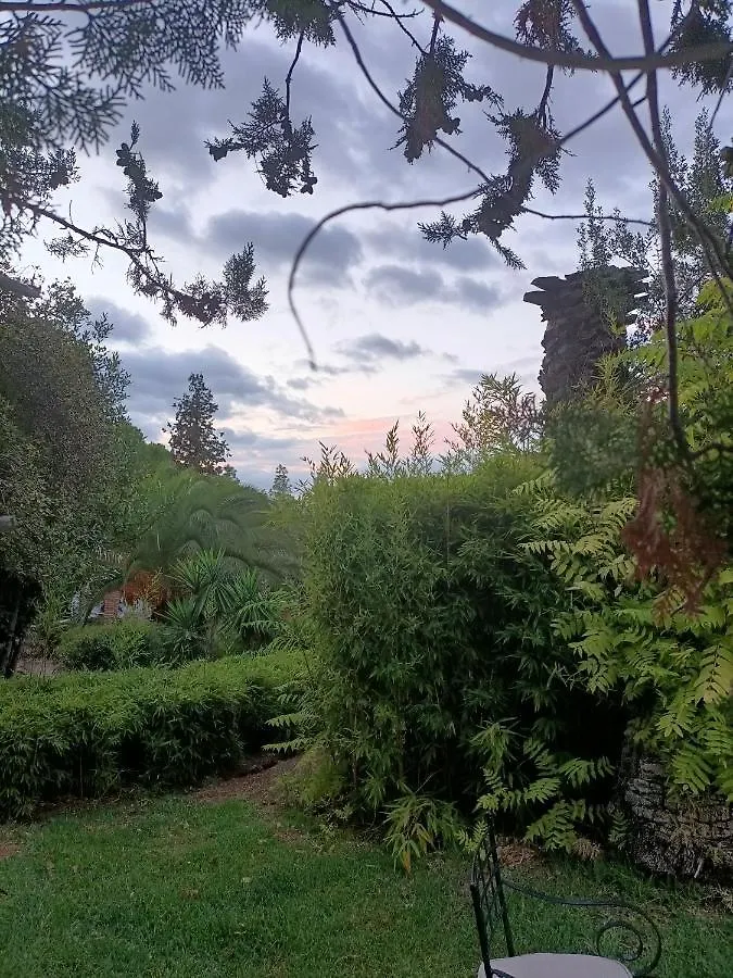 Tottam Art & Healthy Garden Villa Malaga Spain