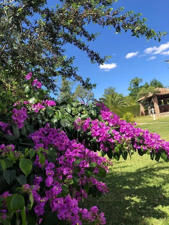 Tottam Art & Healthy Garden Villa Malaga 0*,