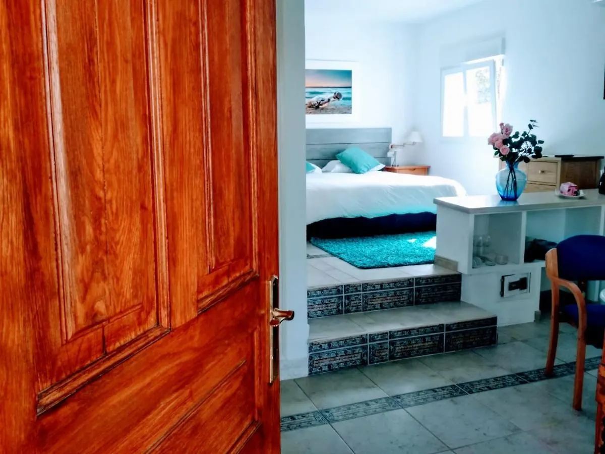 Tottam Art & Healthy Garden Villa Malaga Spain
