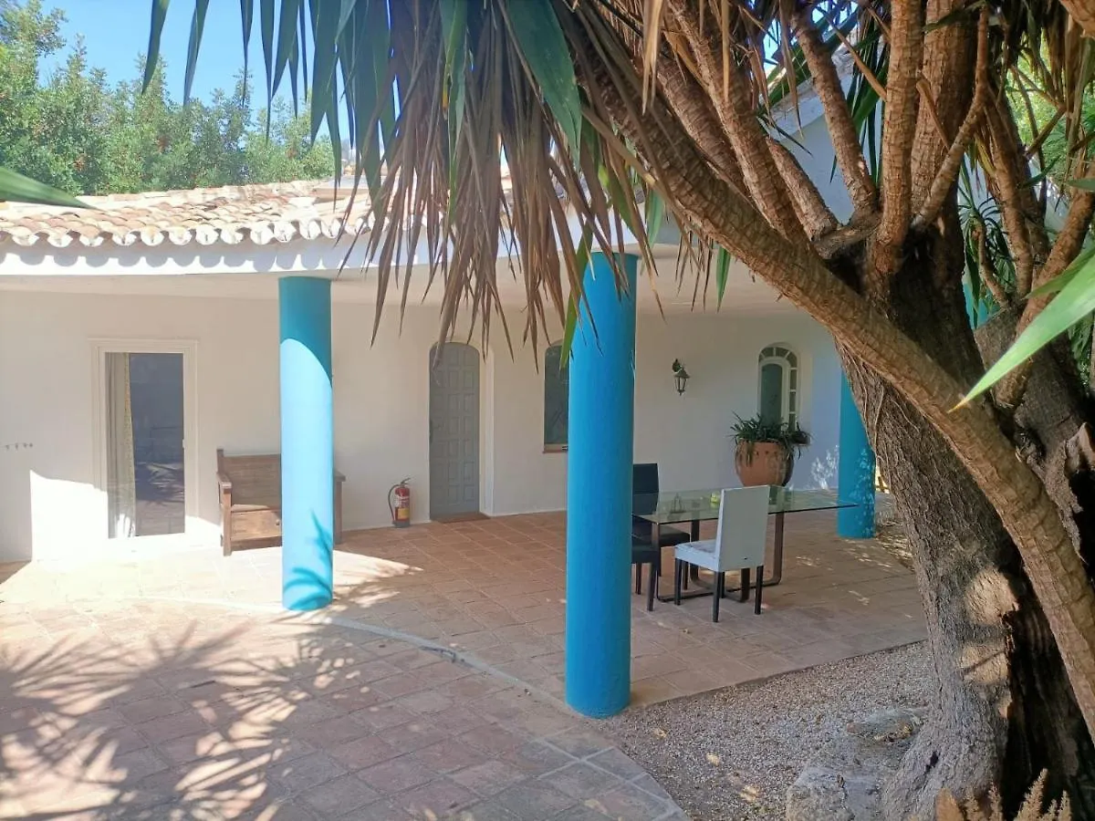 Tottam Art & Healthy Garden Villa Malaga Spain