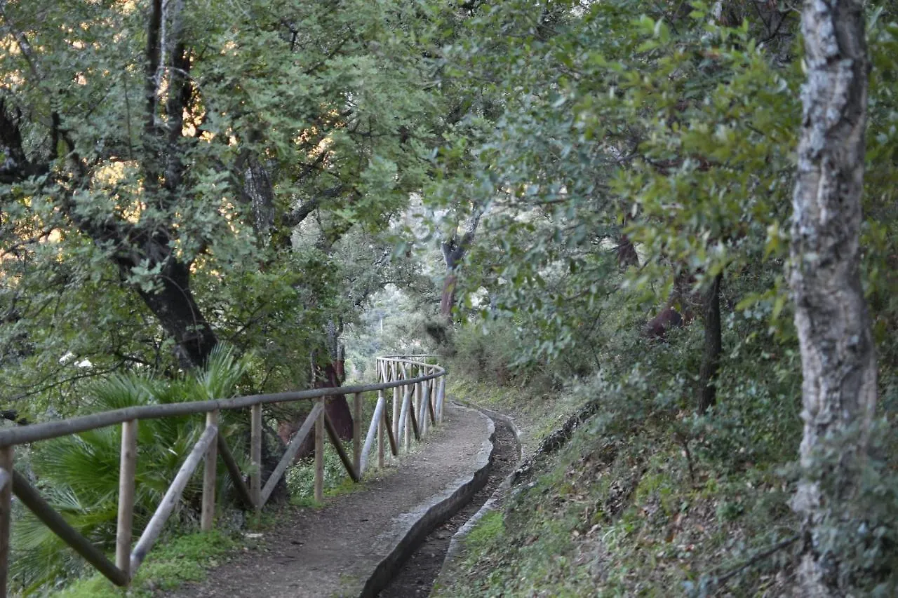 Tottam Art & Healthy Garden Villa Malaga
