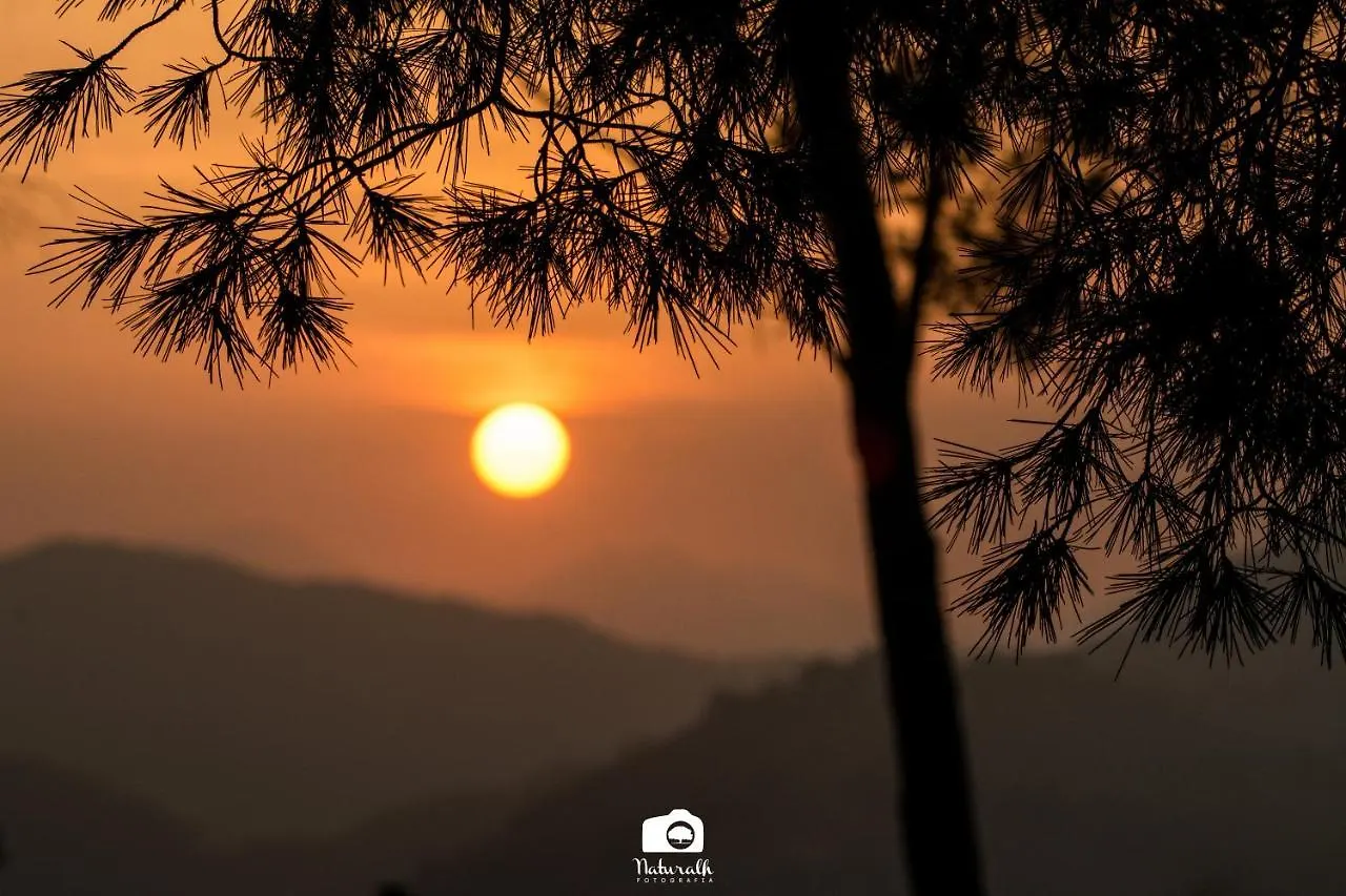 Tottam Art & Healthy Garden Villa Malaga Lodge