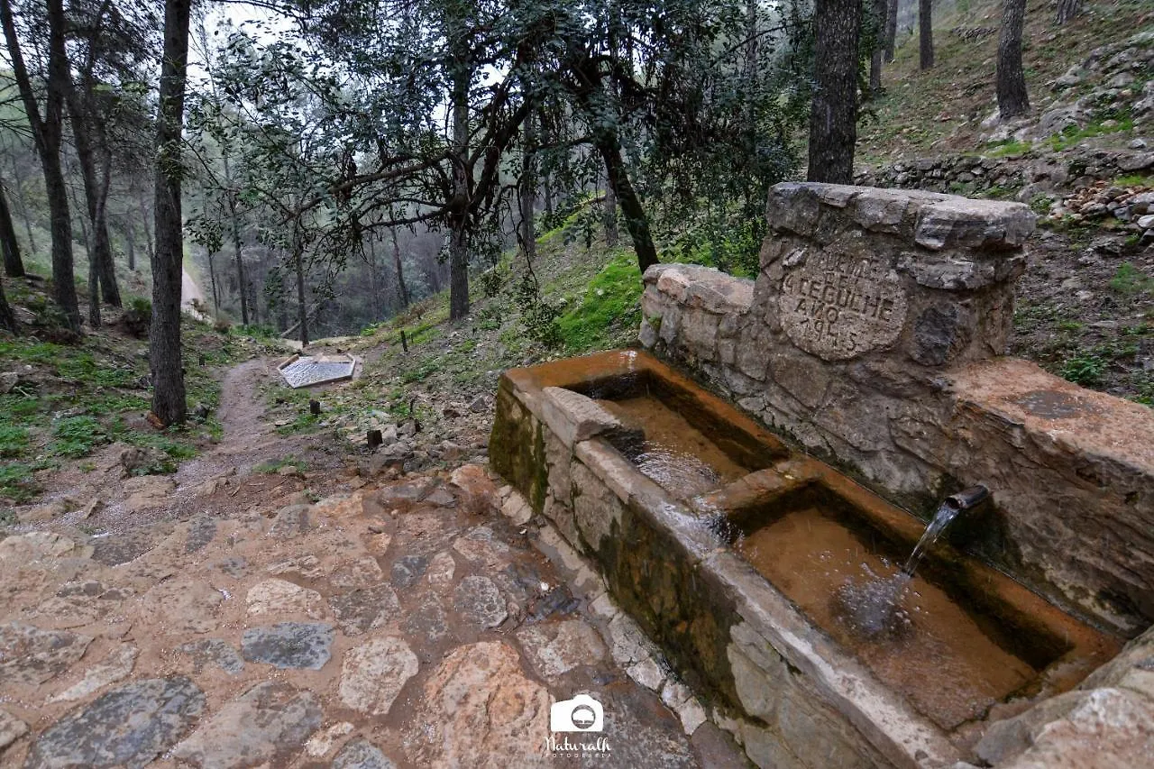 Lodge Tottam Art & Healthy Garden Villa Malaga