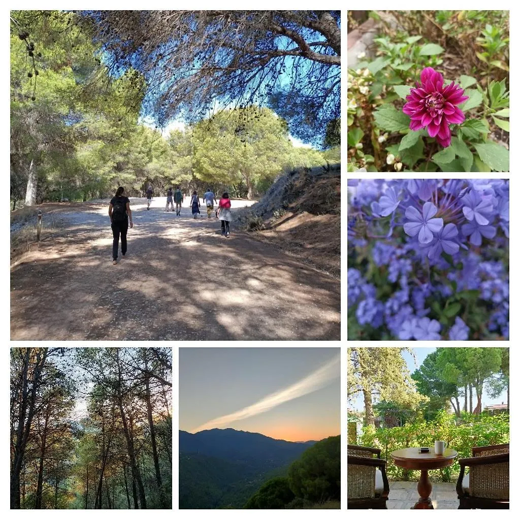 Lodge Tottam Art & Healthy Garden Villa Malaga