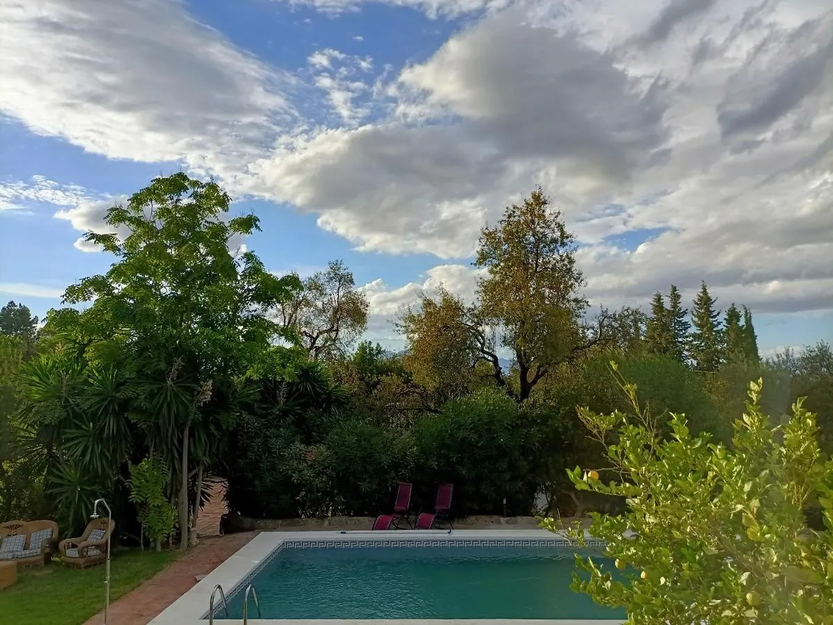 Tottam Art & Healthy Garden Villa Malaga