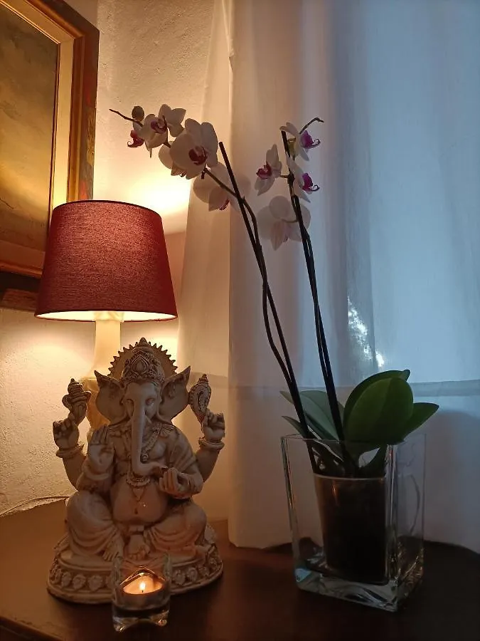Tottam Art & Healthy Garden Villa Malaga 0*,  Spain